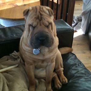 Meet your Posher, Kylene